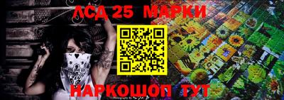 гидра Гатчина