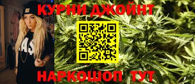 гидра Гатчина