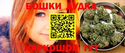 гидра Гатчина