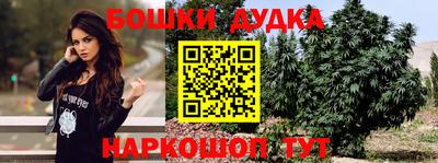гидра Гатчина