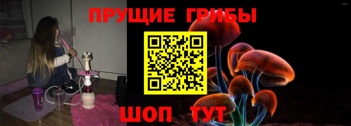 Галлюциногенные грибы Psilocybe  Псилоцибиновые грибы прущие грибы  Вход с VPN  Красноперекопск 
